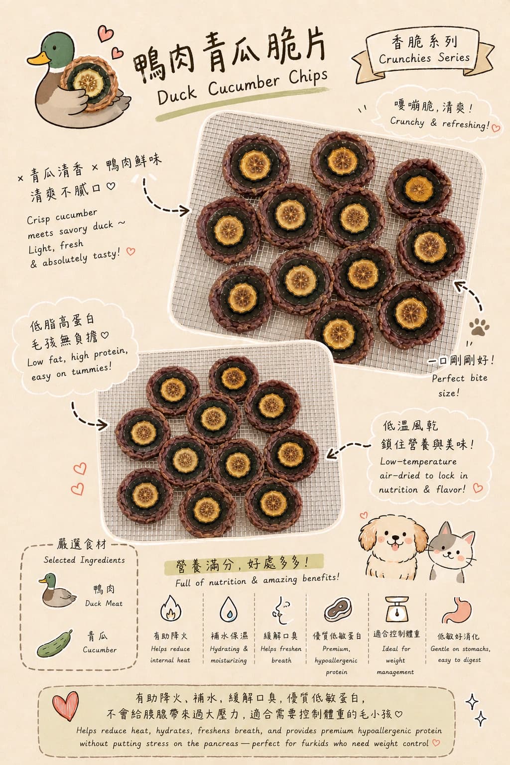 Duck Cucumber Chips - Image 1