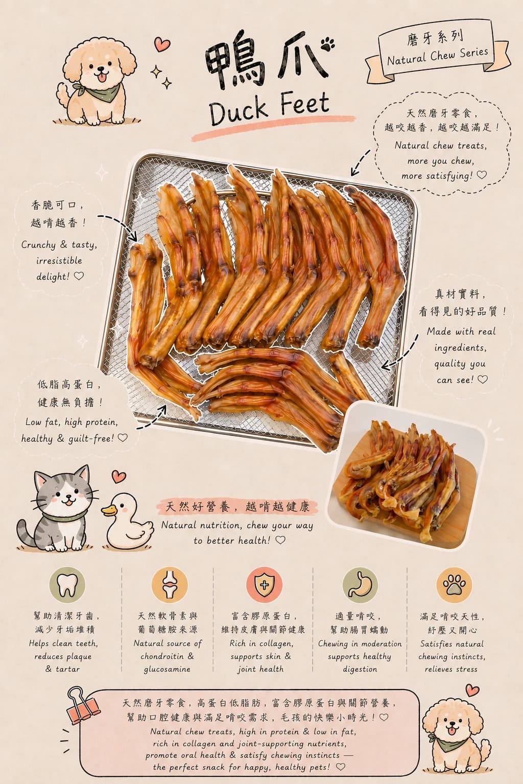 Duck Feet - Image 1