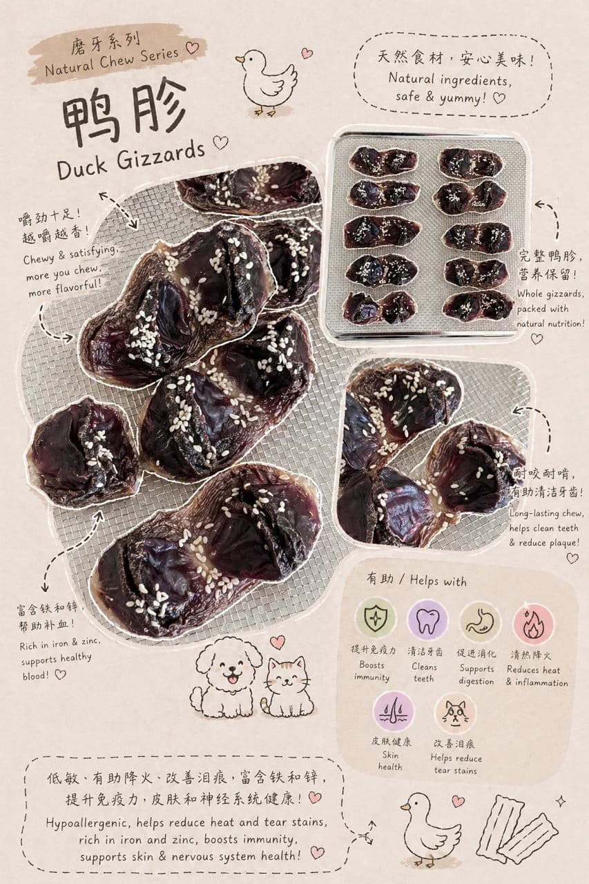 Duck Gizards - Image 1