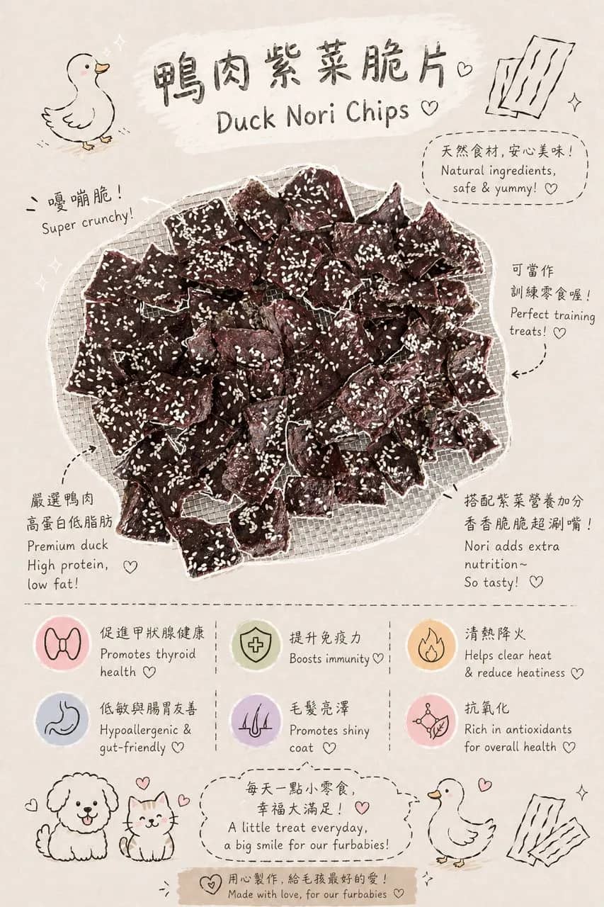 Duck Nori Chips