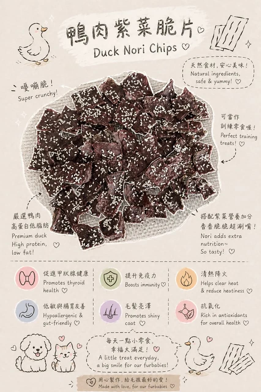 Duck Nori Chips - Image 1